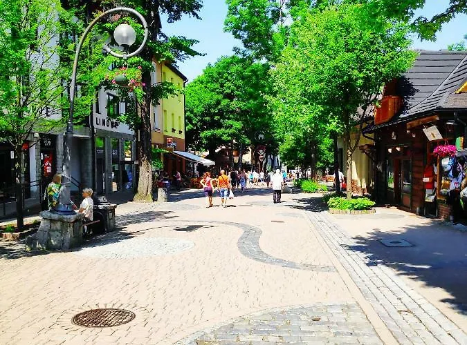 Appartamento W Goralskim Domu Kościelisko